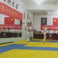 山东省济南市富强龙吟国际跆拳道晋级大会圆满成功